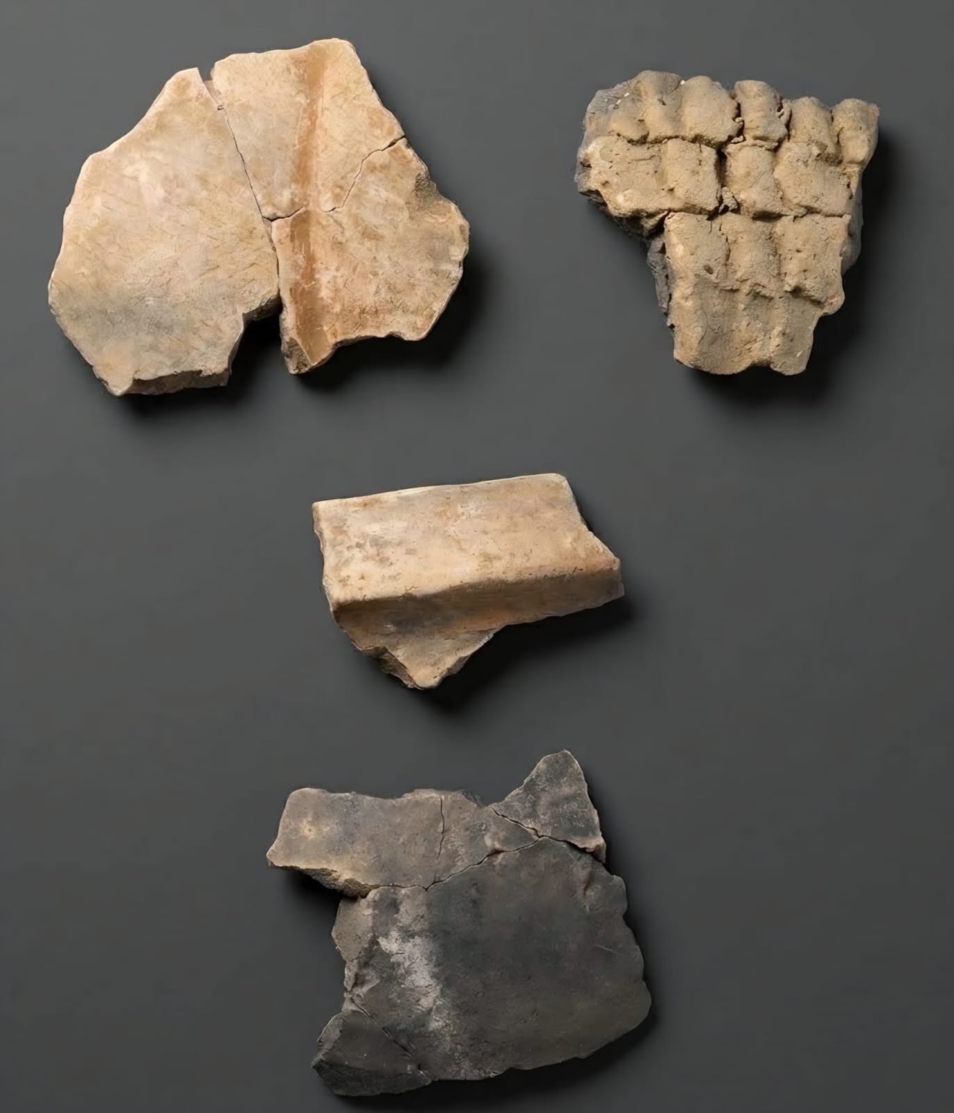 Museus de Araraquara abrem exposições inéditas em novembro