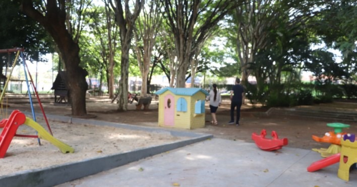 Quedas de árvores em escolas da cidade causam preocupação