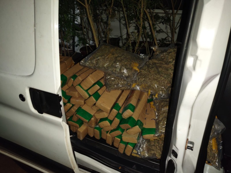 Maconha: PM apreende grande quantidade no bairro Maria Luiza
