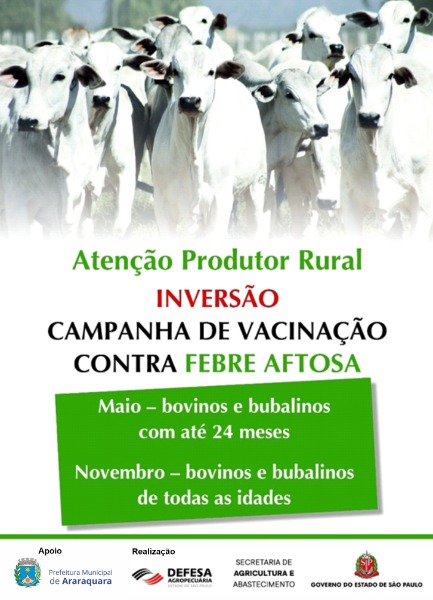 Tem início a campanha de vacinação contra a febre aftosa