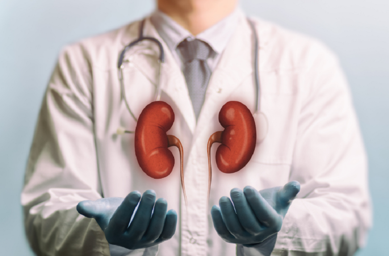 SBN estima que a doença renal crônica seja a 5ª maior causa de morte no mundo em 20 anos
