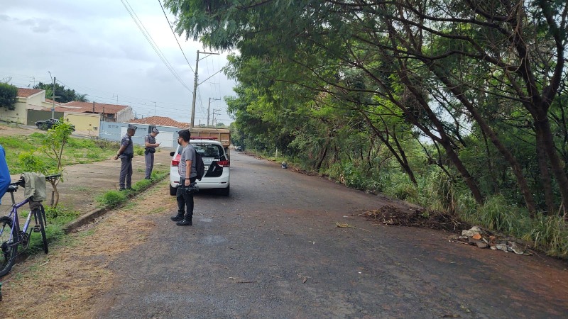 Granada é encontrada em mata de Araraquara