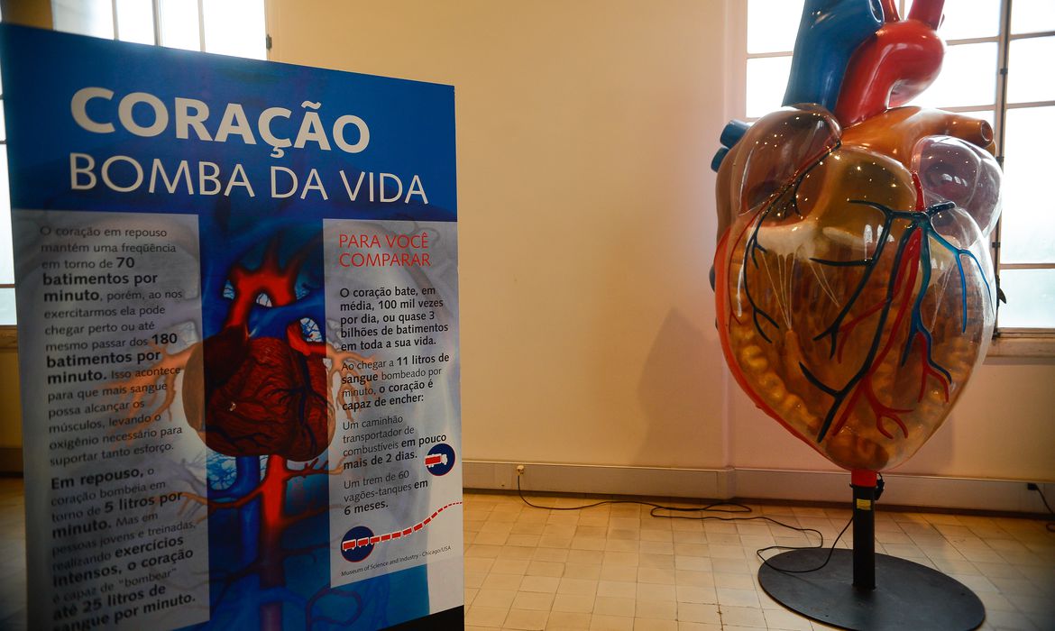 Cartórios registram aumento nas mortes por doenças cardiovasculares