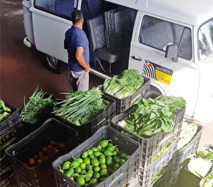 Agricultores de Araraquara são convocados para Programa Alimenta Brasil; entenda
