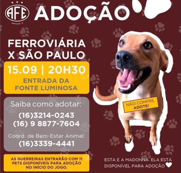 Jogo: Guerreiras Grenás enfrentam o São Paulo hoje (15) e promovem adoção de animais
