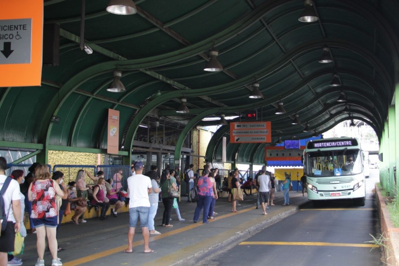 Defensoria Pública recomenda transporte gratuito no dia das eleições em Araraquara