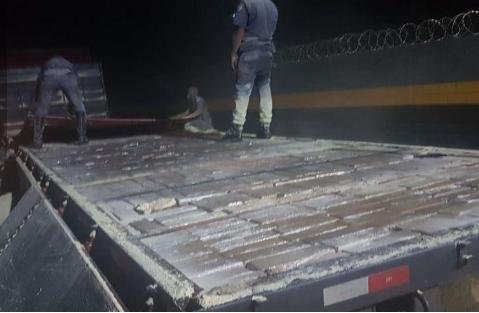 Cães Holy e Loky ajudaram a tirar quase 900 quilos de maconha das ruas de Araraquara