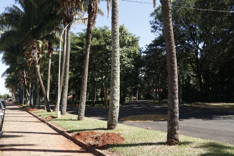 Parque Infantil recebe feira especial de Dia das Crianças nesta quarta-feira