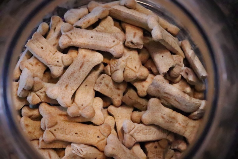 Secretaria Nacional do Consumidor determina recolhimento de petiscos caninos por contaminação; consulte