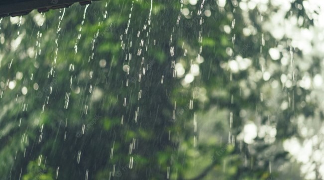 Araraquara deve ter chuva nos próximos dias, aponta previsão do tempo