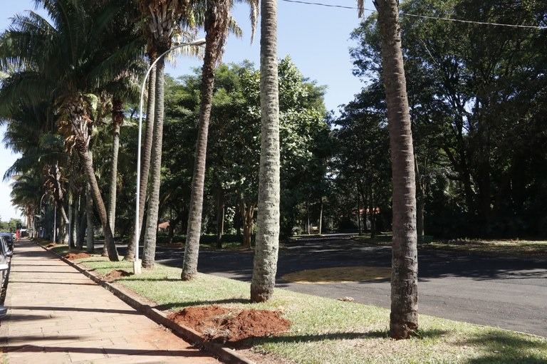 Araraquara tem três feiras de empreendedores e artesãos para o fim de semana