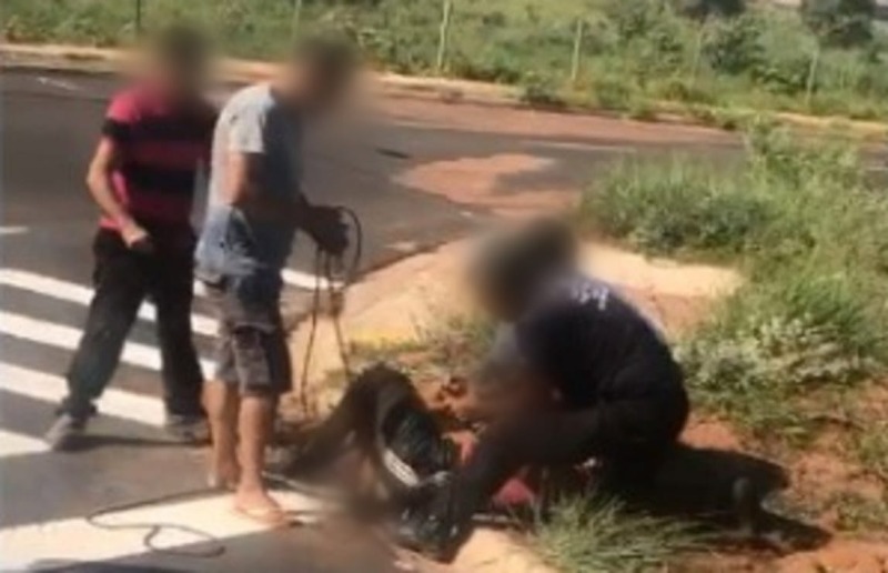 Revolta: moradores amarraram suspeito de furtar fios em Araraquara