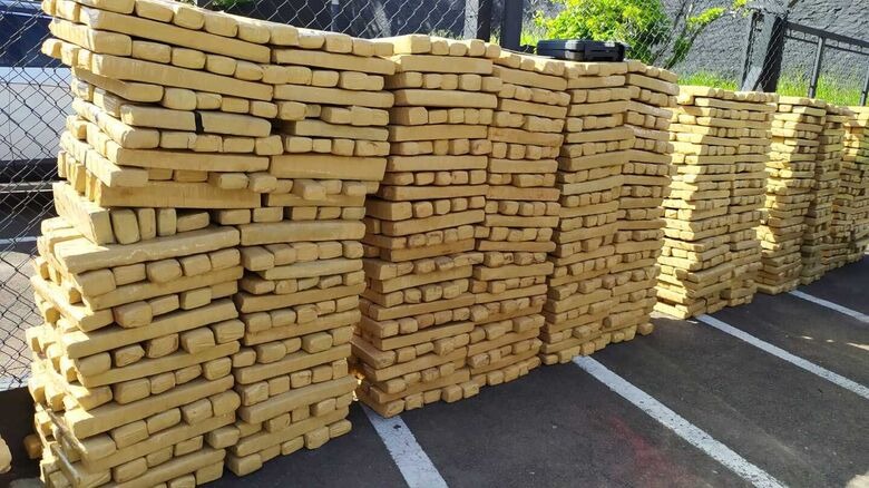 Apreensão de Drogas: mais de 1,6 mil tijolos de maconha foram localizados na SP-310