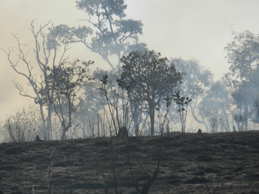 Incêndios na região do Águas do Paiol já consumiram 400 mil metros quadrados