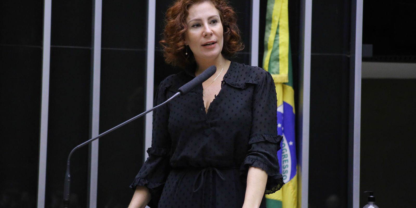 STF suspende porte de arma da deputada Carla Zambelli