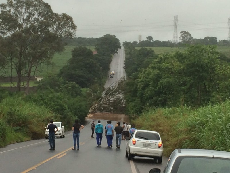Estrada entre Araraquara e Gavião Peixoto é liberada