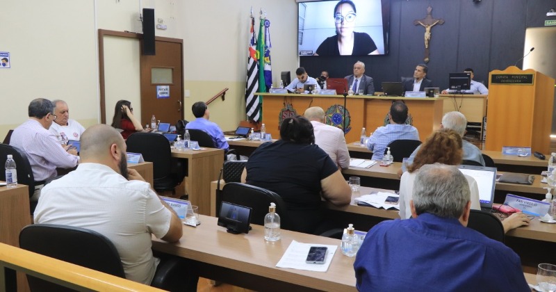 Câmara de Araraquara aprova recursos para obras emergenciais na Avenida 36