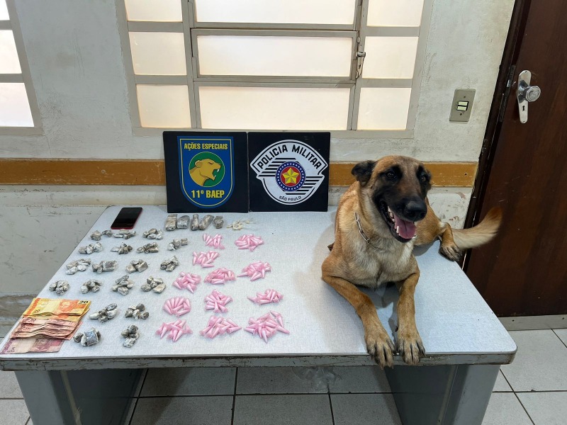 Jovem é preso por tráfico de drogas e corrupção de menores em Araraquara