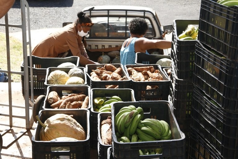 Termina hoje (08) chamada para aquisição de alimentos de agricultores familiares em Araraquara