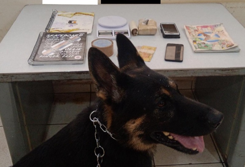BAEP apreende drogas em lava rápido de Araraquara