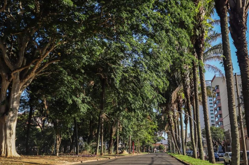 Clima do Outono dificulta o controle de doenças crônicas; veja como aliviar sintomas