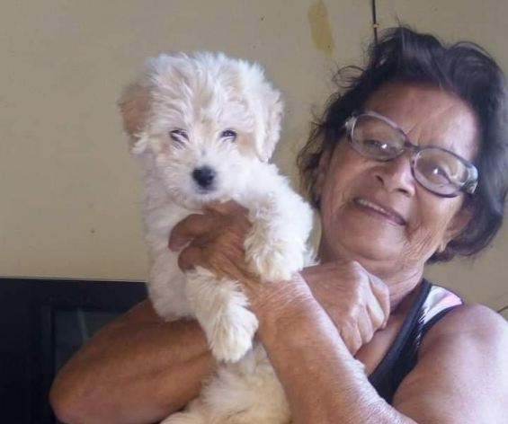 Família procura por idosa de 80 anos desaparecida em Araraquara