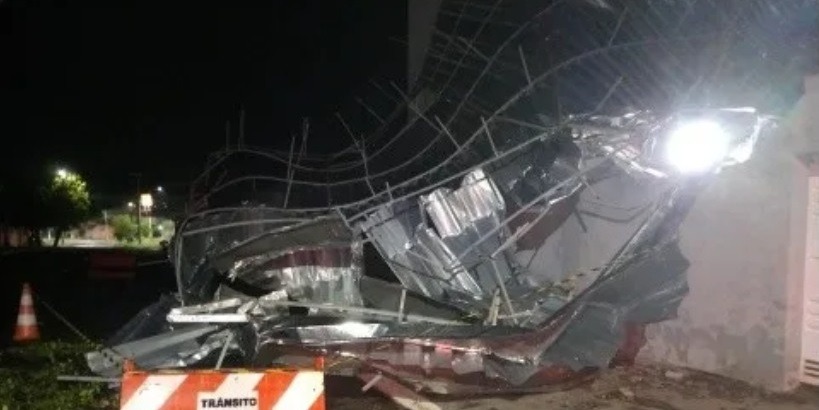 Cerca de 50 árvores foram derrubadas durante temporal em Araraquara