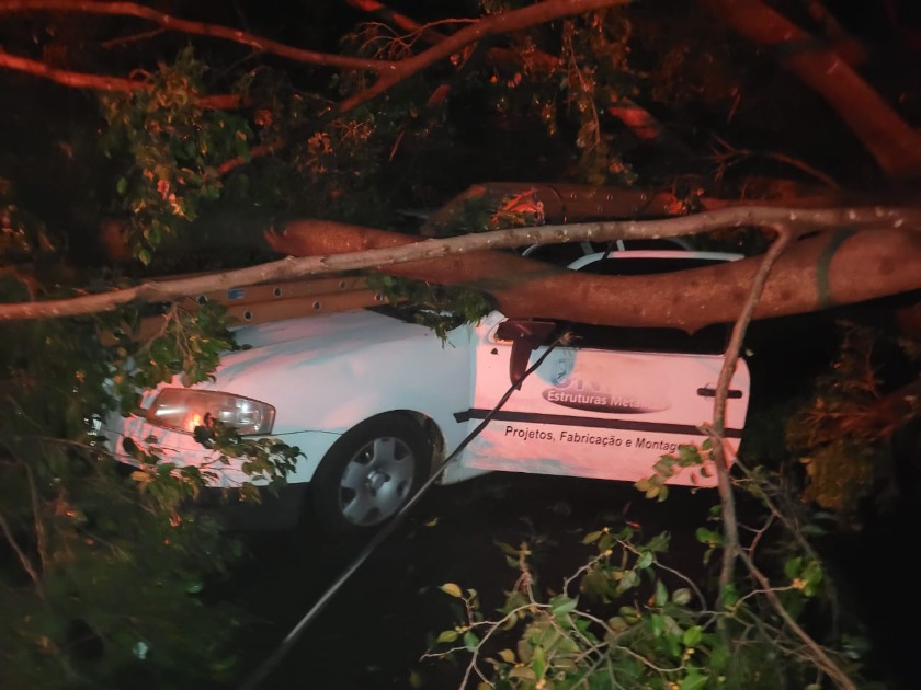 Chuva causa mais estragos e árvores atingem veículos em Araraquara
