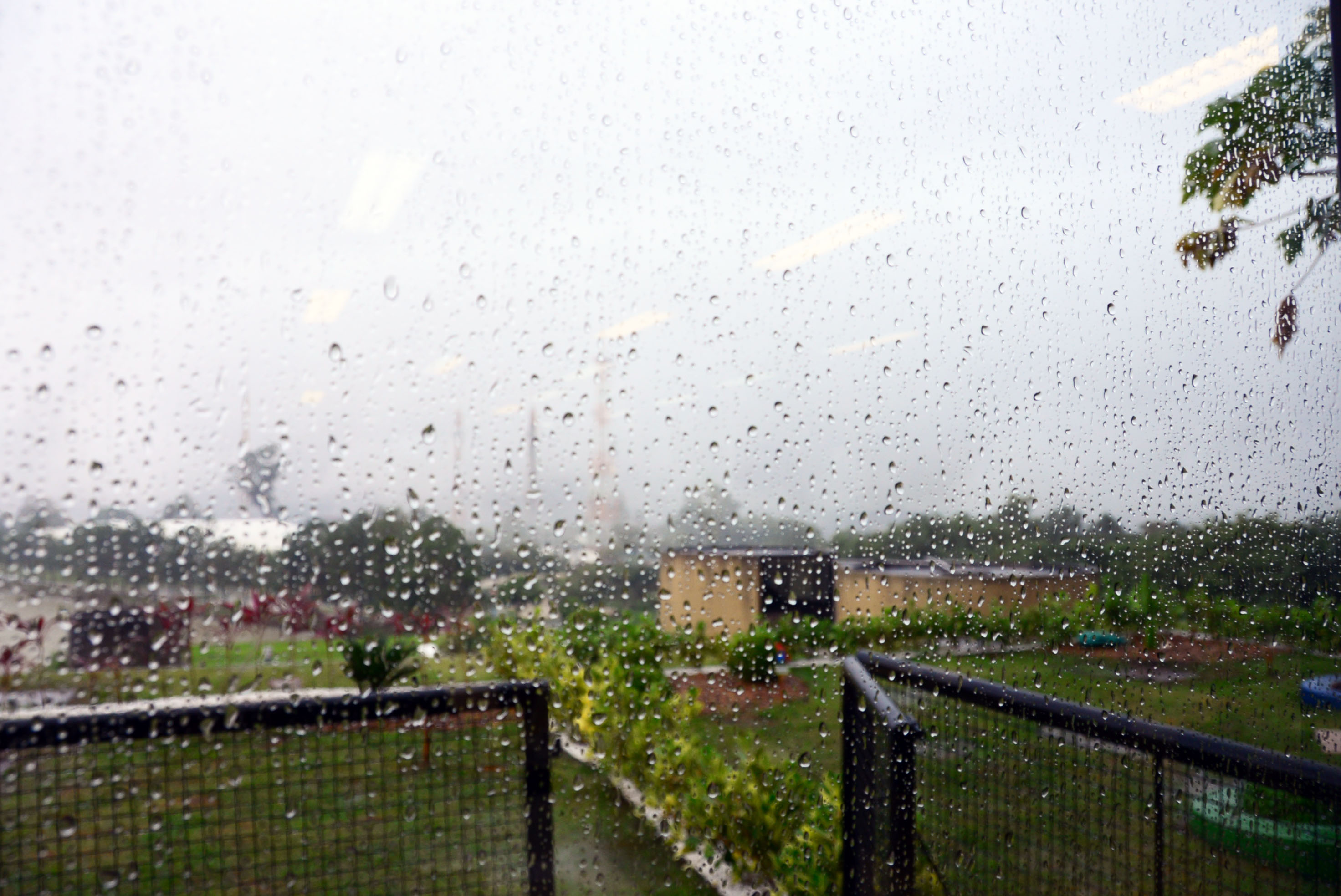 Chuva deve continuar em Araraquara nesta terça-feira