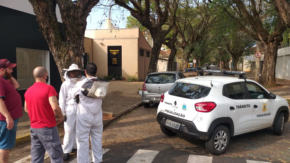 Enxame de abelhas ataca pessoas no Centro de Araraquara