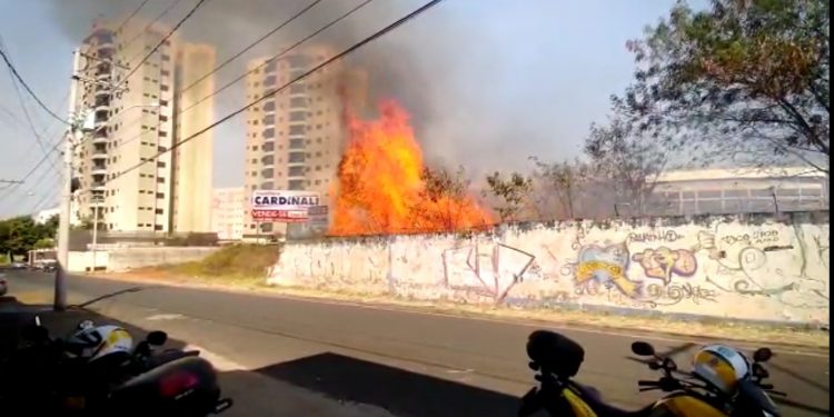Araraquara registra 65 focos de incêndio apenas no final de semana