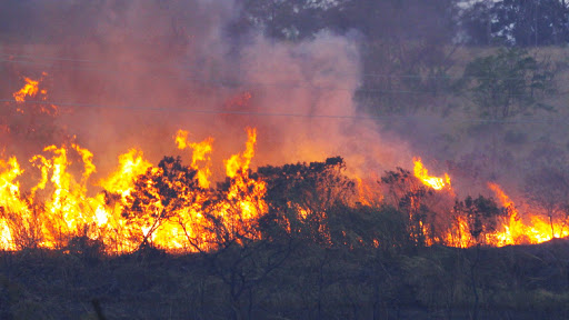 Araraquara teve 42 focos de incêndio somente no fim de semana