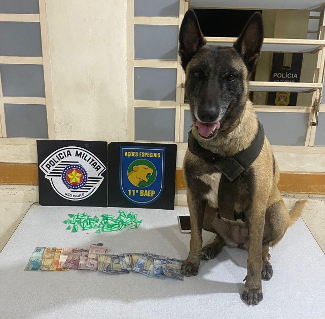 Ação Policial apreende drogas escondidas em canteiro central de avenida em Araraquara