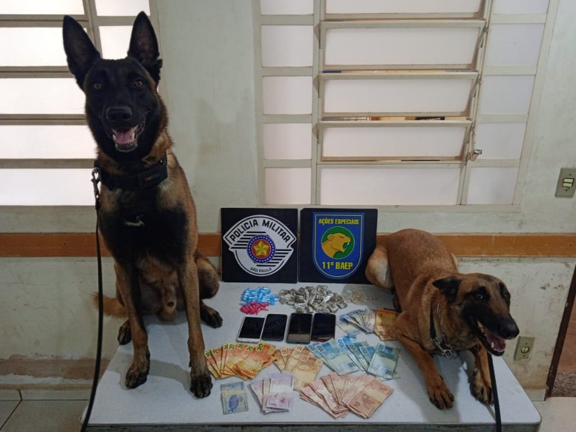 Baep surpreende adolescentes enterrando drogas em Araraquara