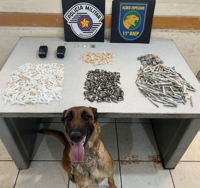 Cadela Kira do Baep encontra mais de 400 pinos de cocaína e outras drogas no Jardim Paraíso