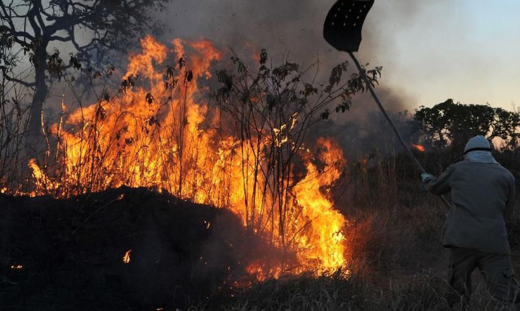Defesa Civil alerta para risco de incêndio por conta das altas temperaturas no estado