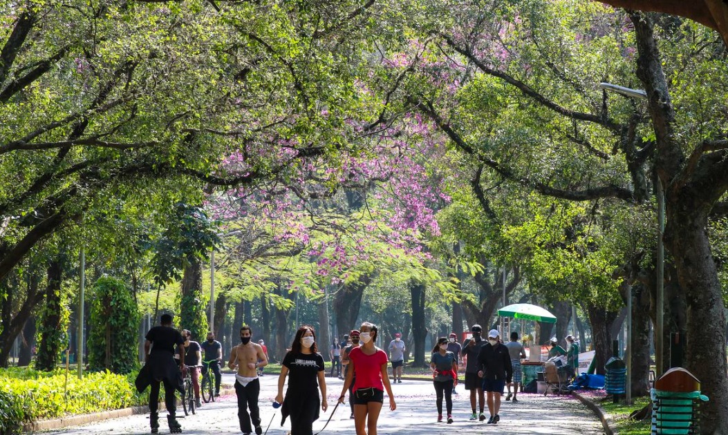 Primavera e alergias respiratórias: veja como aliviar os sintomas
