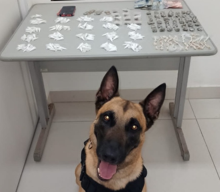 BAEP apreende cocaína, crack e maconha em condomínio de Araraquara