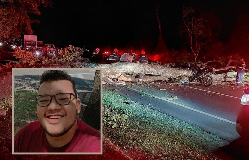 Jovem de Boa Esperança do Sul morre em acidente na rodovia SP-255 após queda de árvore