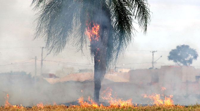 Araraquara já tem recorde de queimadas em relação aos anos anteriores
