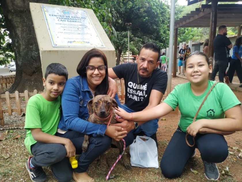 Campanha de Adoção de Animais acontece neste sábado (4) em Araraquara
