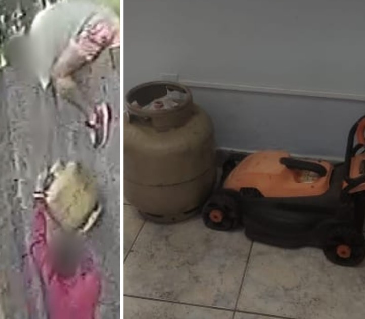 Flagra: homens são presos após furto de botijão de gás e roçadeira em casa de Araraquara
