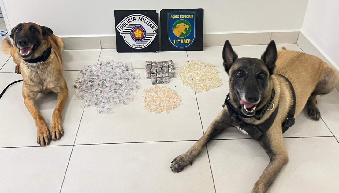 Polícia localiza maconha e crack em apartamento de condomínio de Araraquara