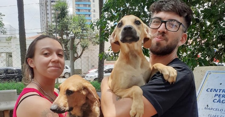 Acontece neste sábado (3) a Campanha de Adoção de Animais em Araraquara; adote