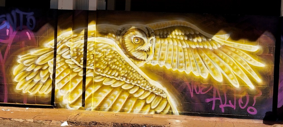 Mutirão de grafite transforma escola de Araraquara em espaço de arte e pertencimento; 'cor e vida'