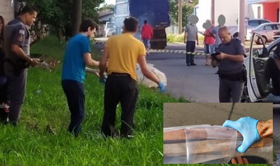 Homicídio: homem é morto a pauladas na região