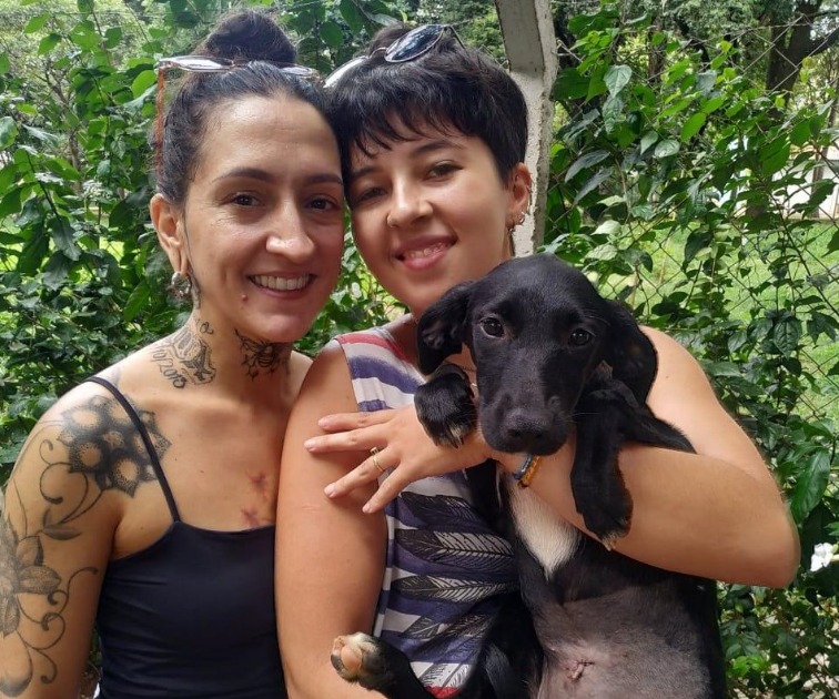 Adote: Campanha de Adoção de Animais acontece neste sábado (16) em Araraquara