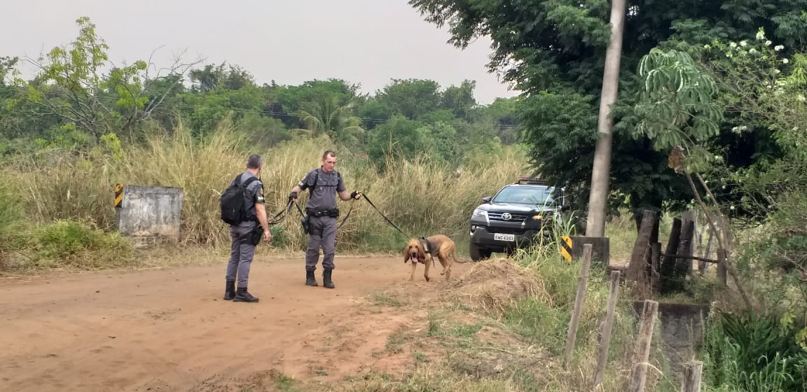 PM e bombeiros usam cães farejadores para encontrar idoso desaparecido