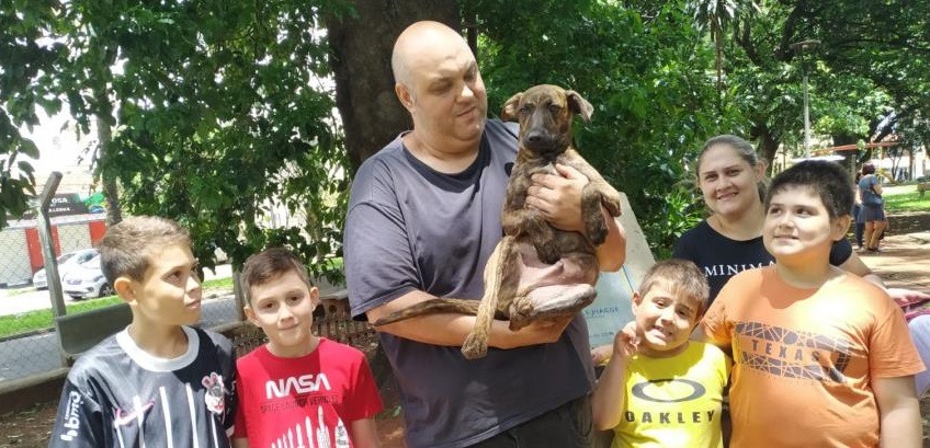 Araraquara realiza Campanha de Adoção de Animais; adote