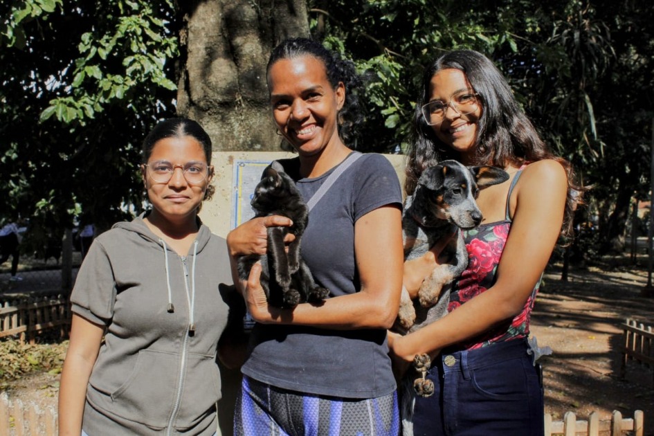 Esperando um lar: Com 650 animais, Araraquara realiza Campanha de Adoção de Animais neste sábado (20)